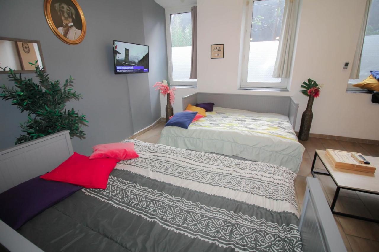 Calme En Centre Ville Appartement , Spacieux Et Renove A 50M De La Place Carnot Carcassonne Exteriér fotografie